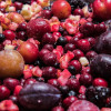Frozen compote mix