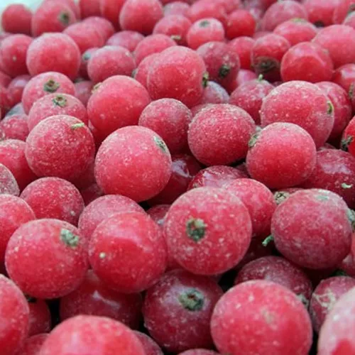 Red currant frozen whole