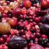 Frozen compote mix