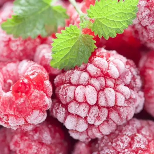 Raspberries frozen whole Raspberries frozen whole